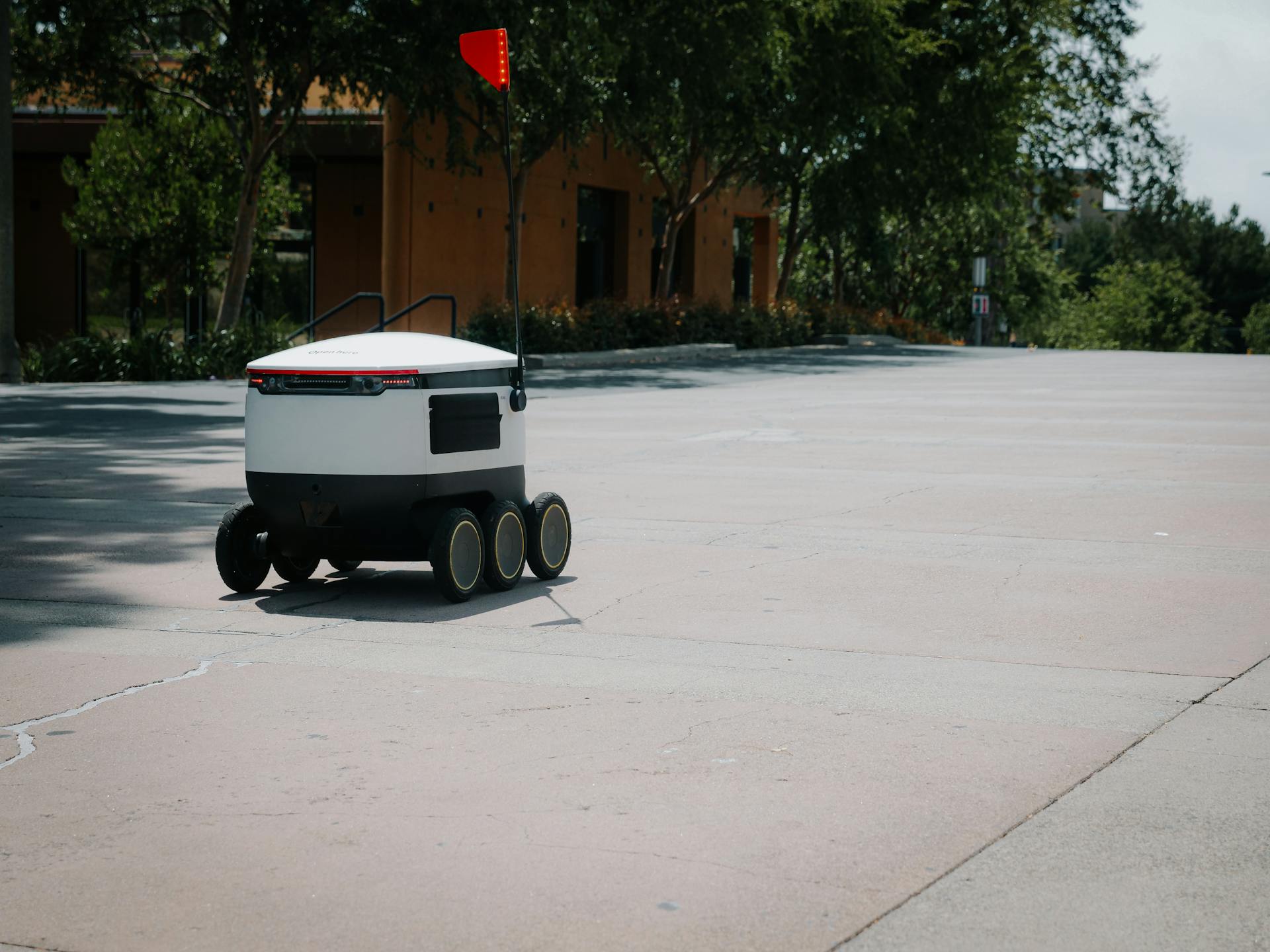 Delivery Robot on the Road