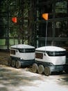 Delivery Robots with Little Flags