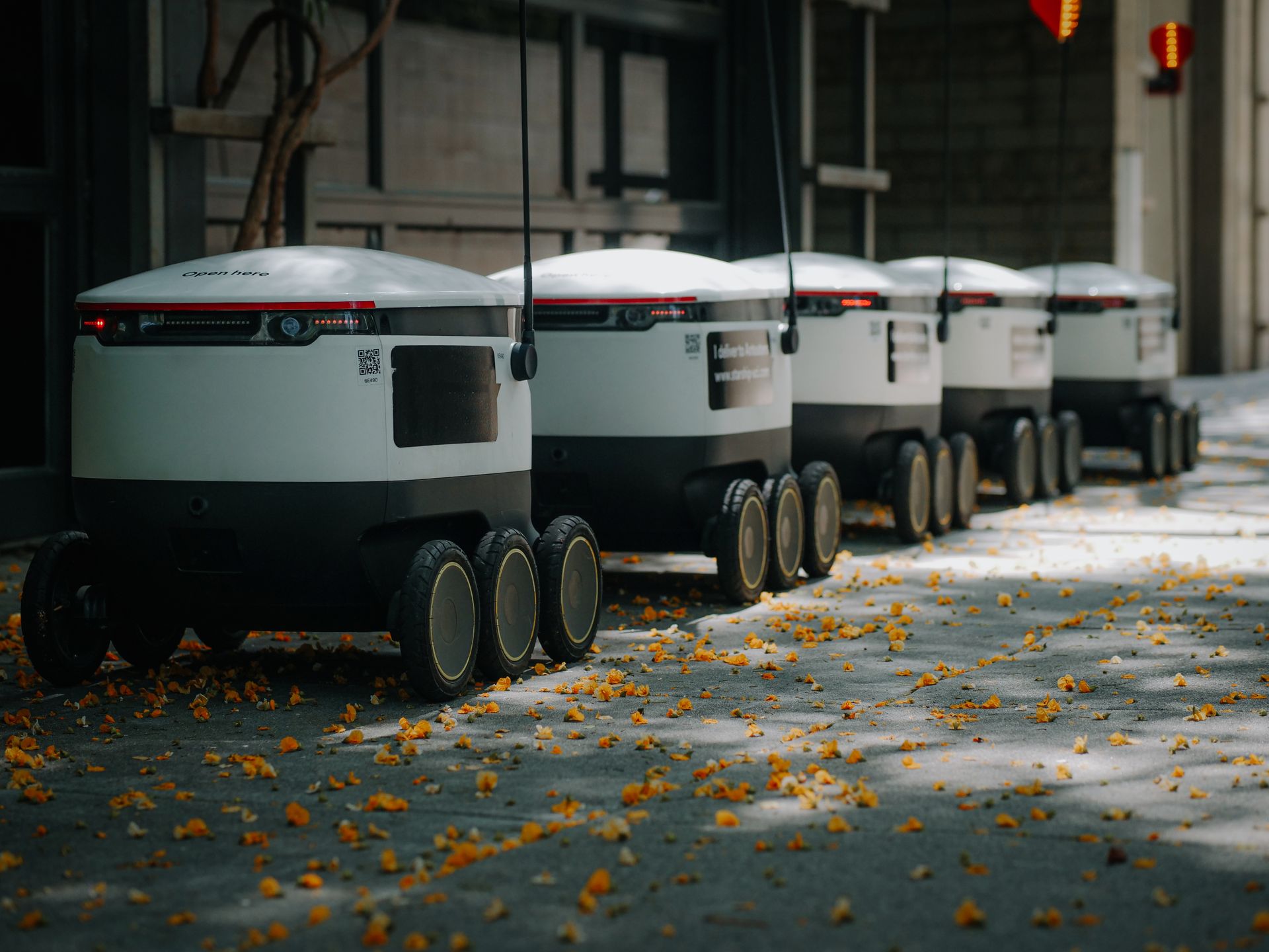 Delivery Robots on Sidestreet