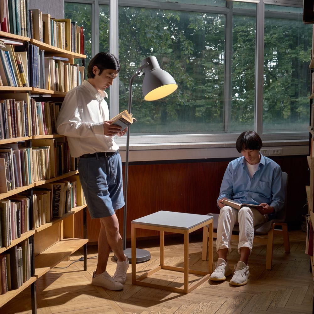 Dingle — student move with boxes and a van