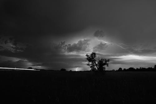 Fotos de stock gratuitas de 2021, Alemania, blanco y negro