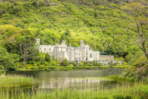 Imagine de stoc gratuită din abatia kylemore, arbori, atracție turistică