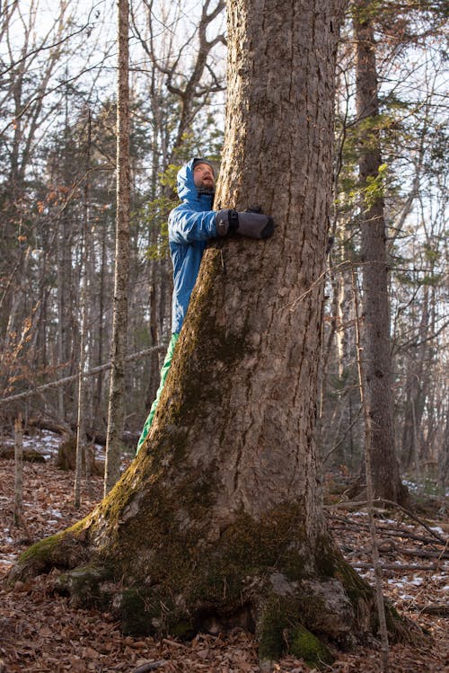 Fotobanka s bezplatnými fotkami na tému držanie, exteriéry, kmeň