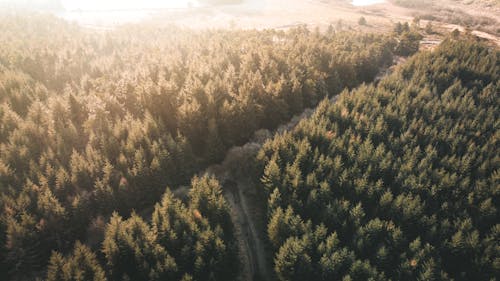 Ilmainen kuvapankkikuva tunnisteilla auringonvalo, aurinko, drooni