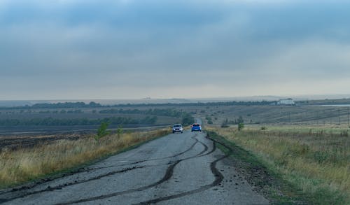 갈색, 경치, 고속도로의 무료 스톡 사진