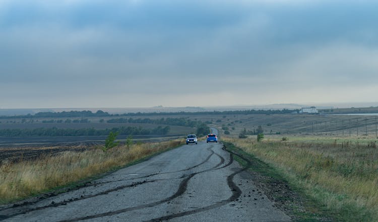 Skid Marks On Gray Concrete Road