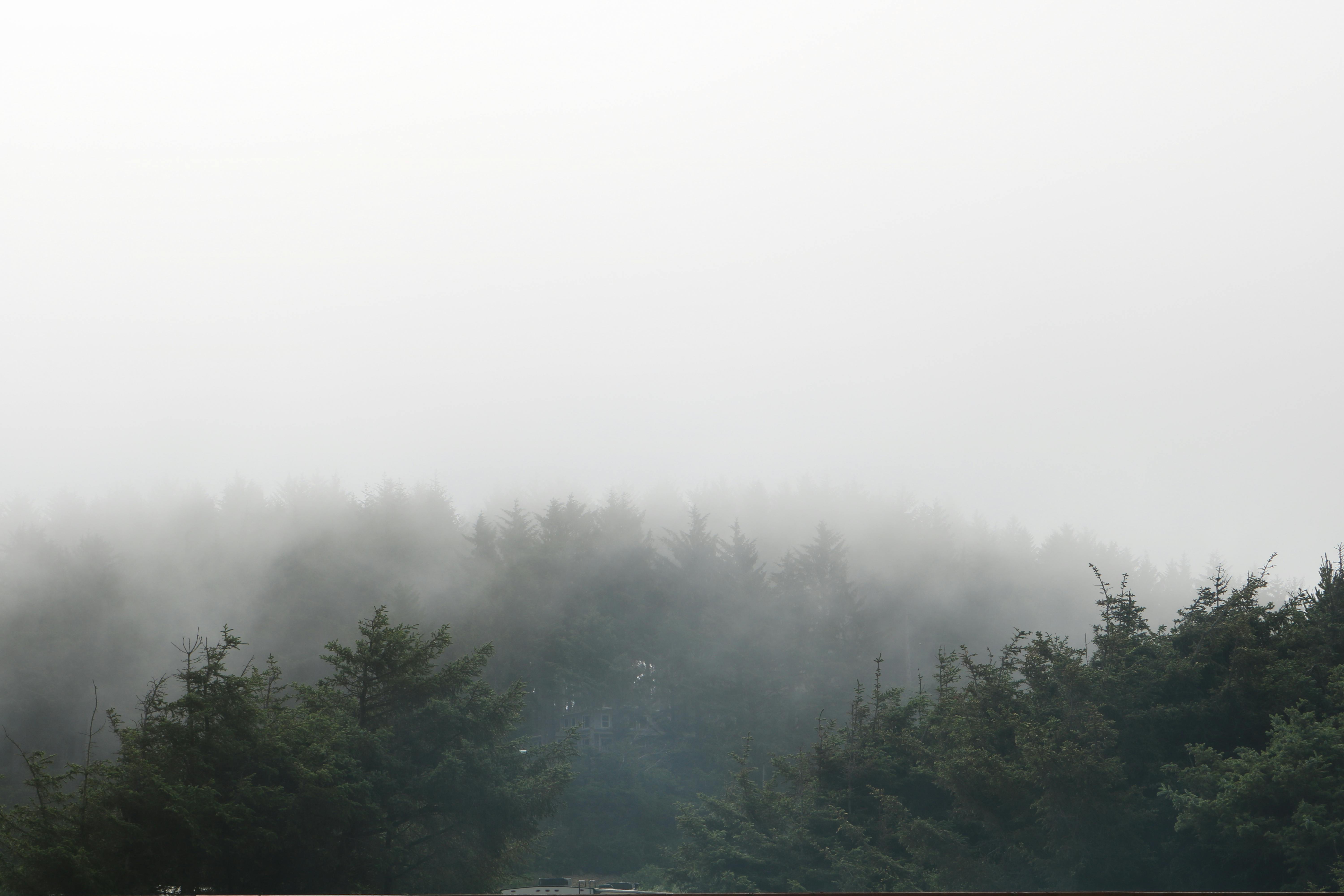 Unveiling the Hidden Secrets of the Earth