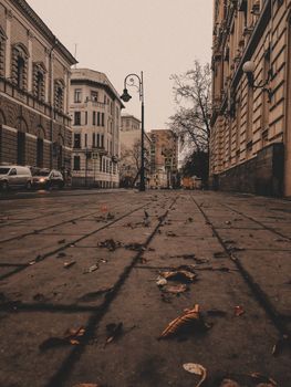 A moody autumn street with fallen leaves and historic buildings, captured in a vertical frame.