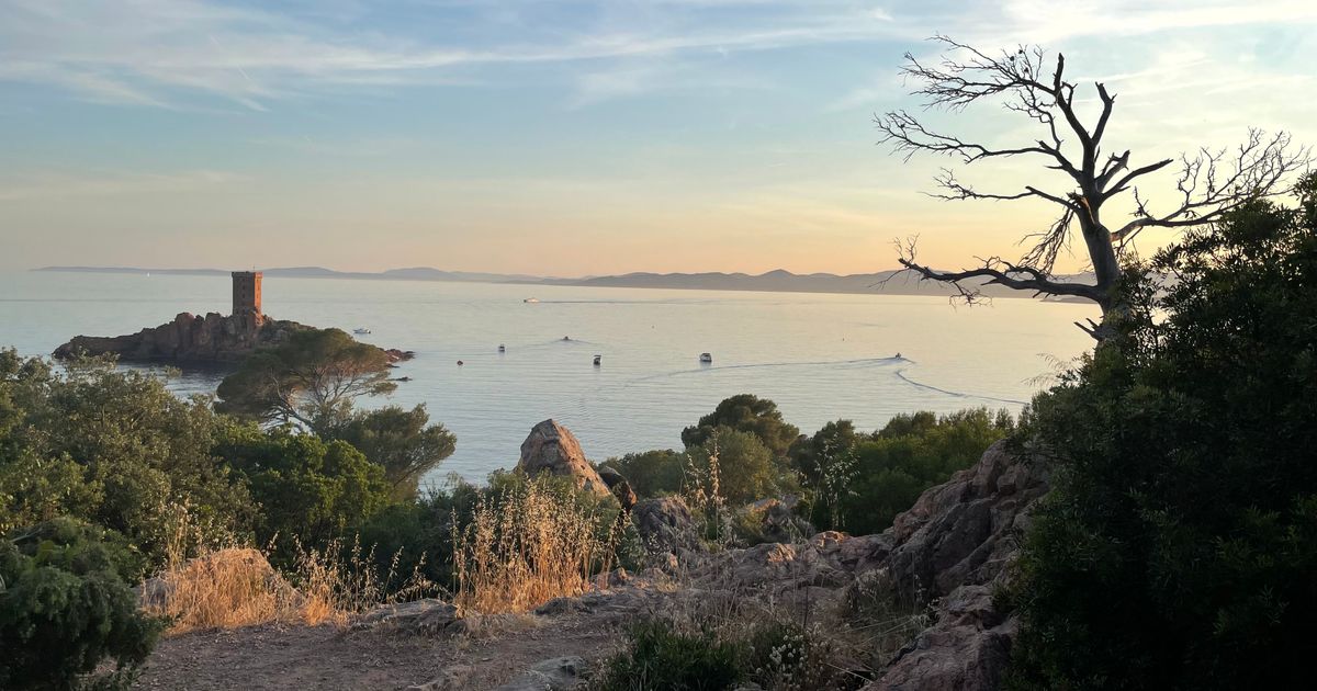 Couverture : Settling into Cannes: a practical guide