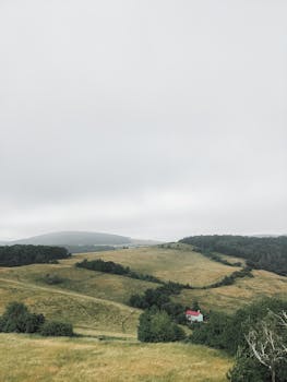 Image by Timofey Anisimov