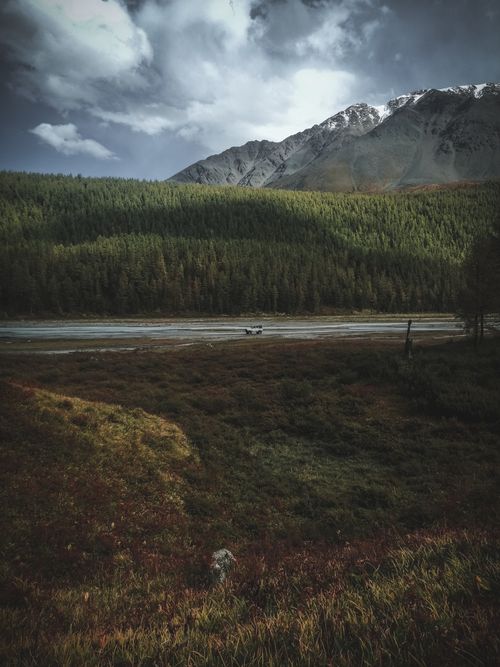 Free Dramatic view of a forested mountain landscape in Altai, Russia. Stock Photo