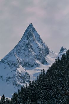 Breathtaking view of a majestic snowcapped mountain peak surrounded by conifers.