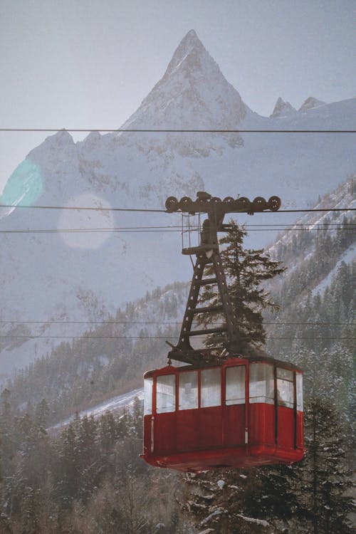 Foto profissional grátis de árvores, bonde, cabine