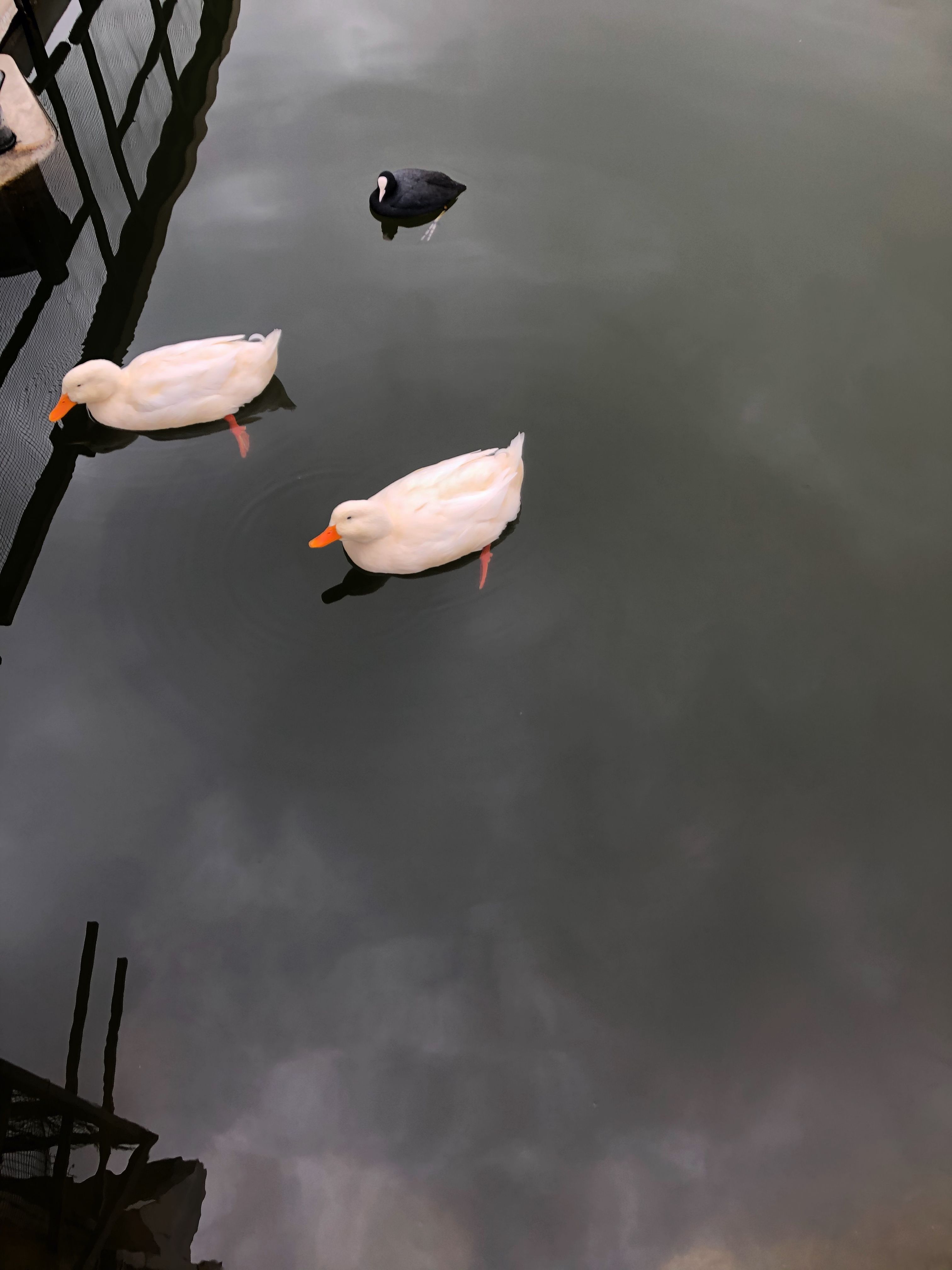 40,170+ Best Free Calmness Stock Photos & Images · 100% Royalty-Free HD ...