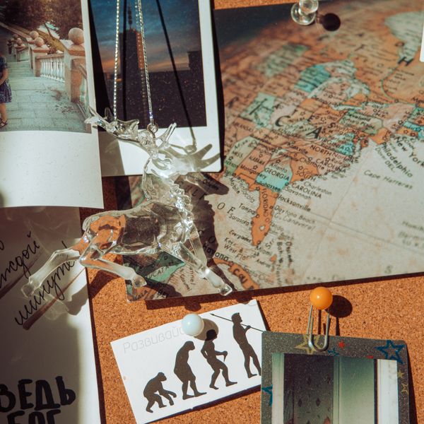 Family Scrapbook