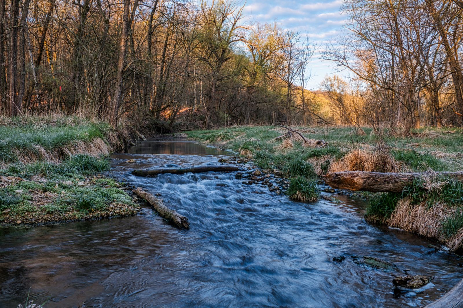 A forest stream winding through lush Minnesota woods