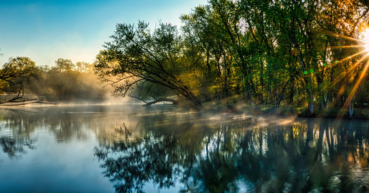 Captivating sunrise with mist over a peaceful river surrounded by lush greenery in Minnesota.