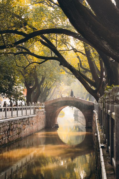 Free Serene view of a person standing on a stone bridge in Shanghai, surrounded by lush greenery and reflections on the river. Stock Photo