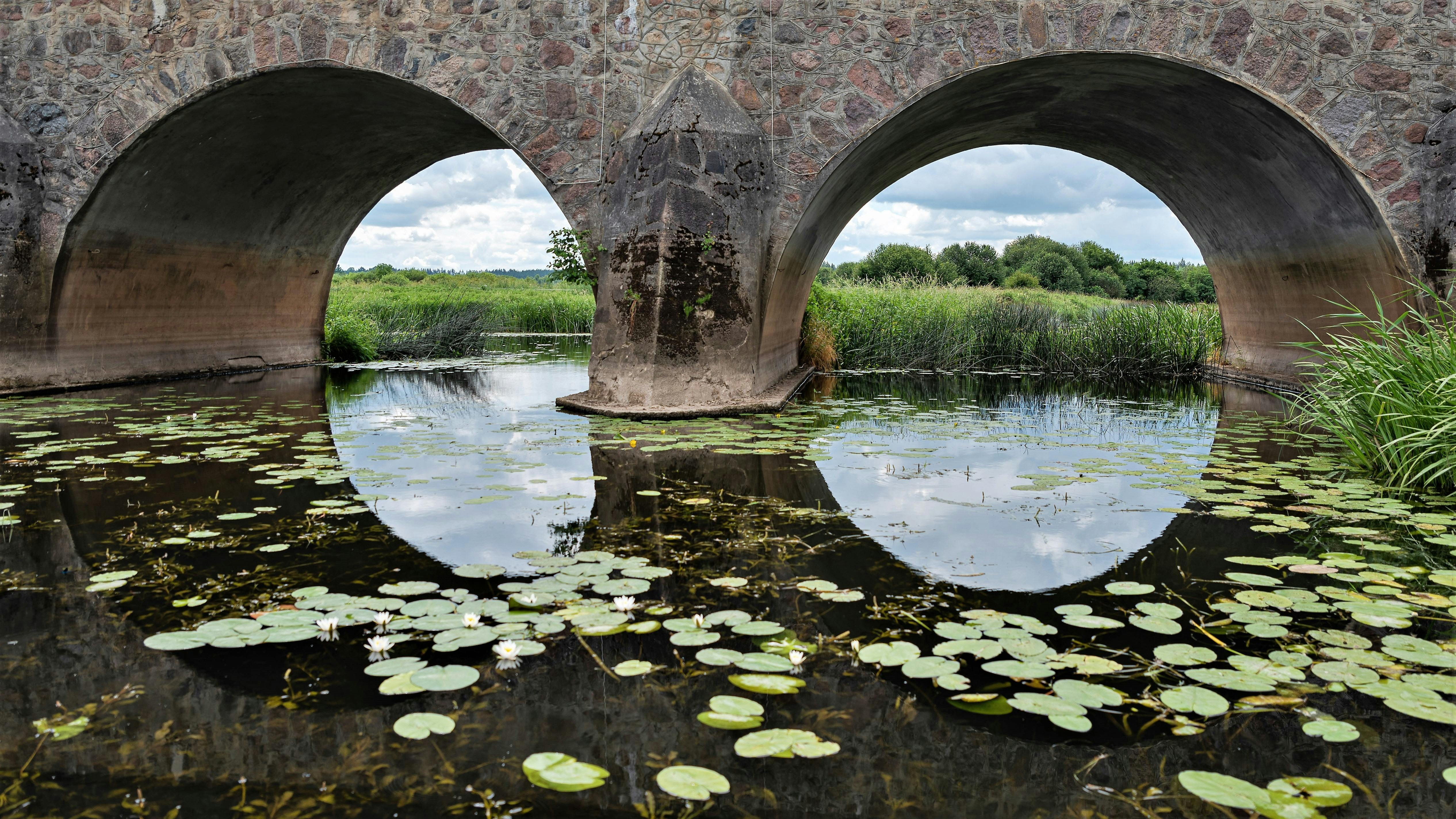 Eggs and milk being whisked together in a glass mixing bowl
