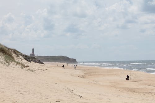 Gratis lagerfoto af amantes de la playa, folk, strand