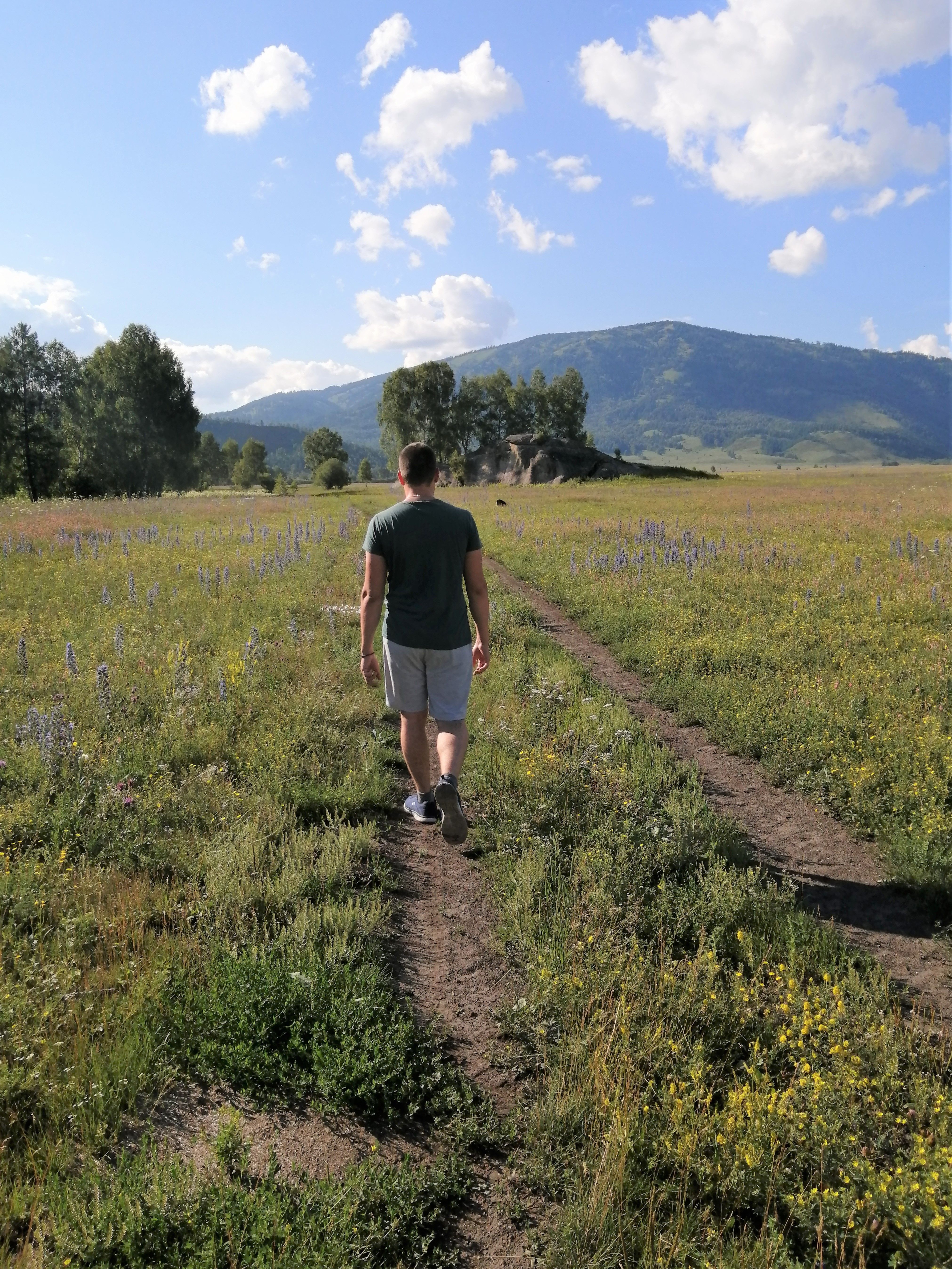 Back View of a Man Walking on a Field · Free Stock Photo
