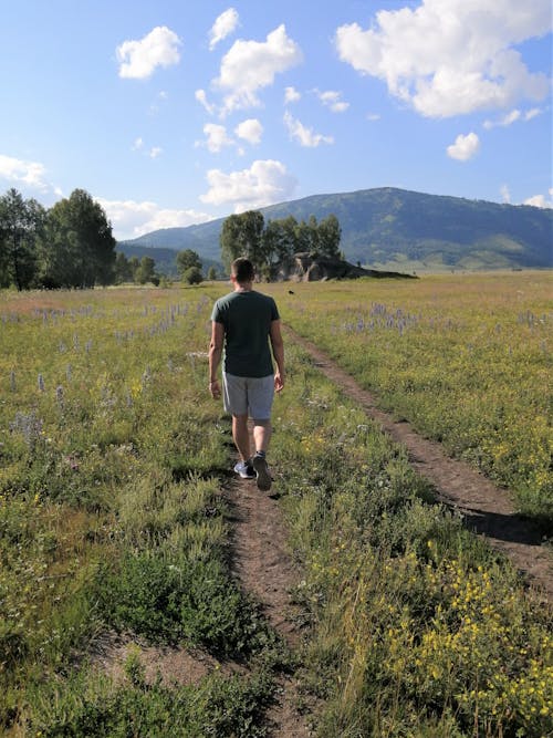 Back View of a Man Walking on a Field