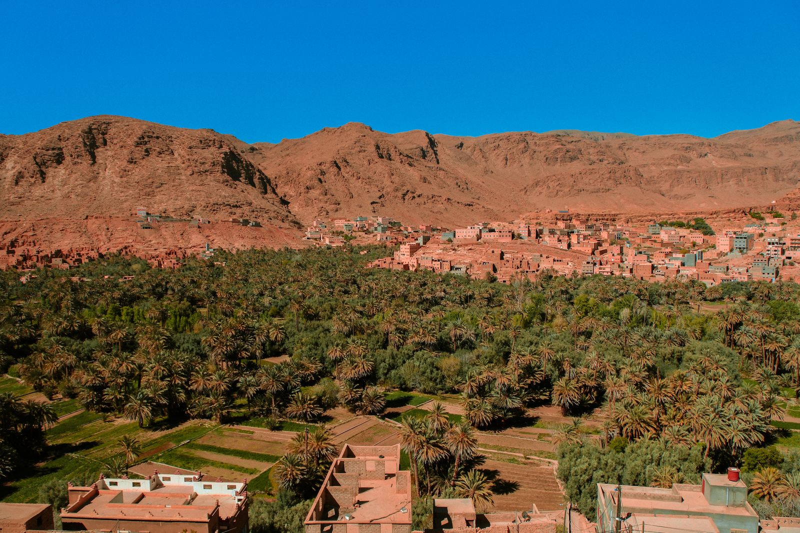 Moroccan train at station