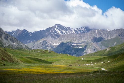 Darmowe zdjęcie z galerii z fotografia przyrodnicza, góry, krajobraz