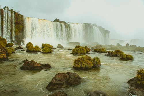 Foto d'estoc gratuïta de brasil, bromós, cascades