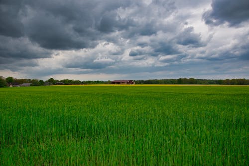 Green Grass Field Under Cloudy Sky