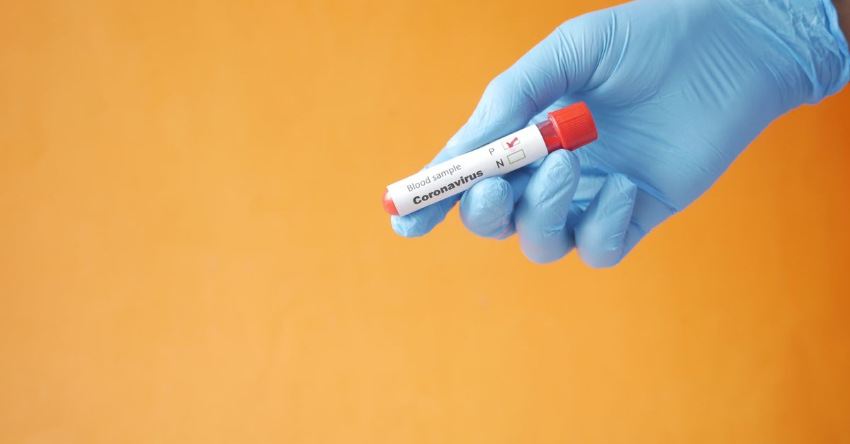 Molbio Diagnostics IPO Eyes ₹940 Crore for Expansion and Stake Reduction