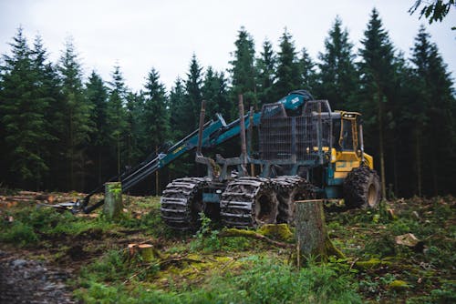 Free Parked Forwarder in a Forest Stock Photo