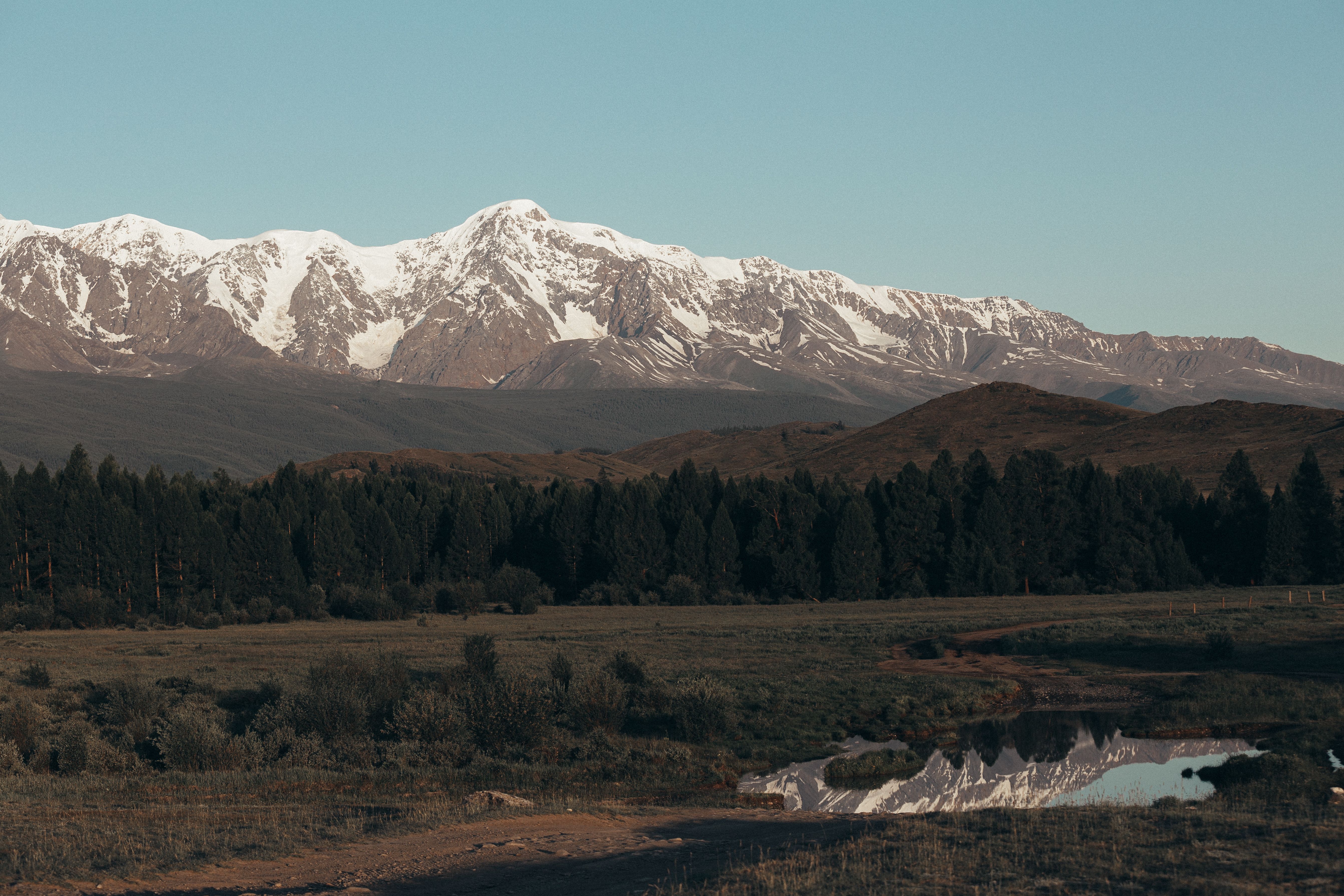 Breathtaking view of snow-covered mountains with a lush forest in the foreground.