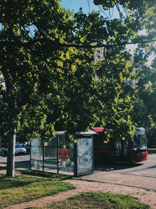 Free Lush summer foliage frames a city bus stop with a passing red bus on a sunny day. Stock Photo