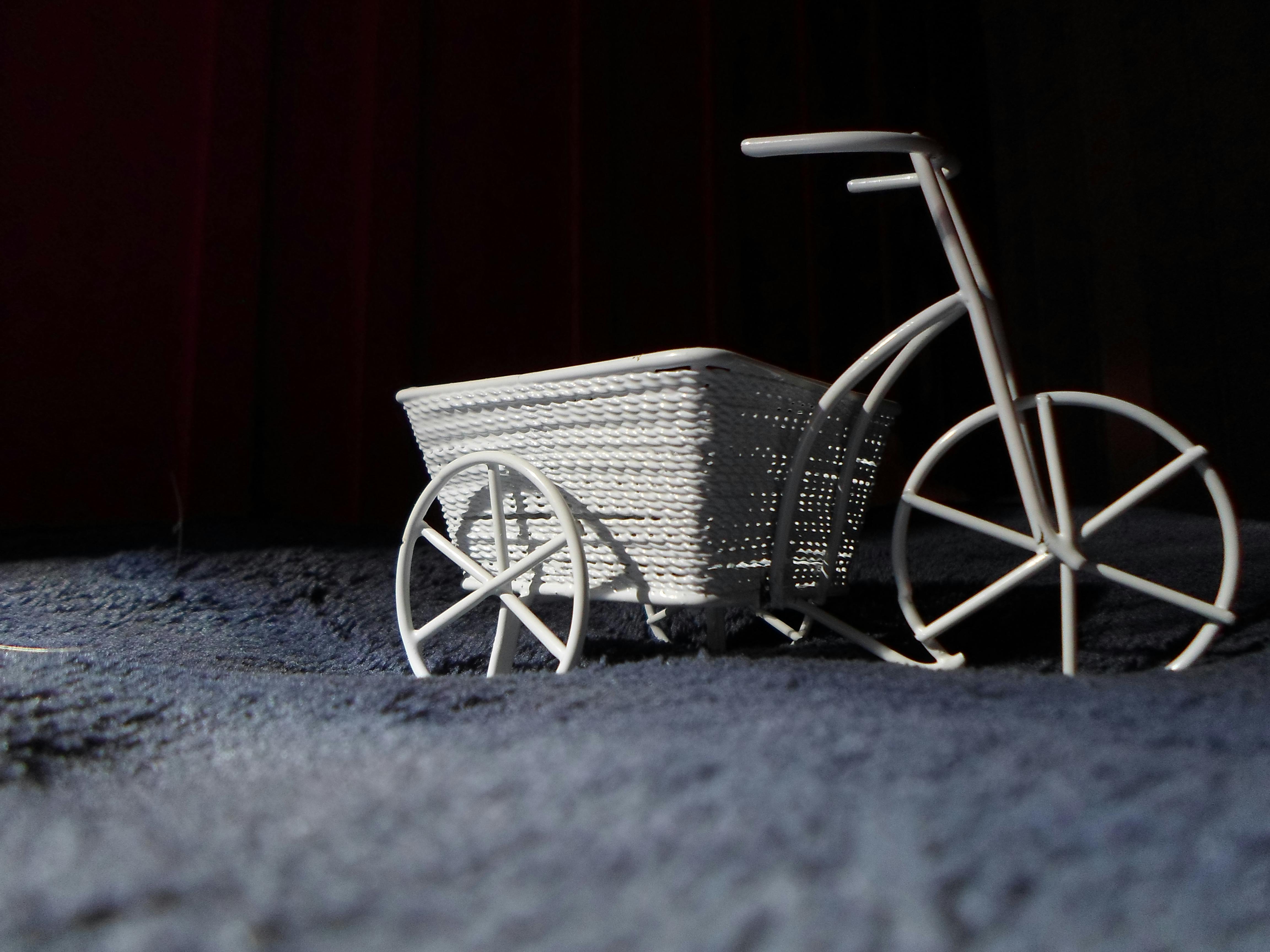 Walldpaper 12 Photos & Videos Collected by Patricia