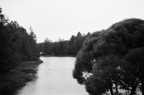 무료 강, 경치, 공원의 무료 스톡 사진