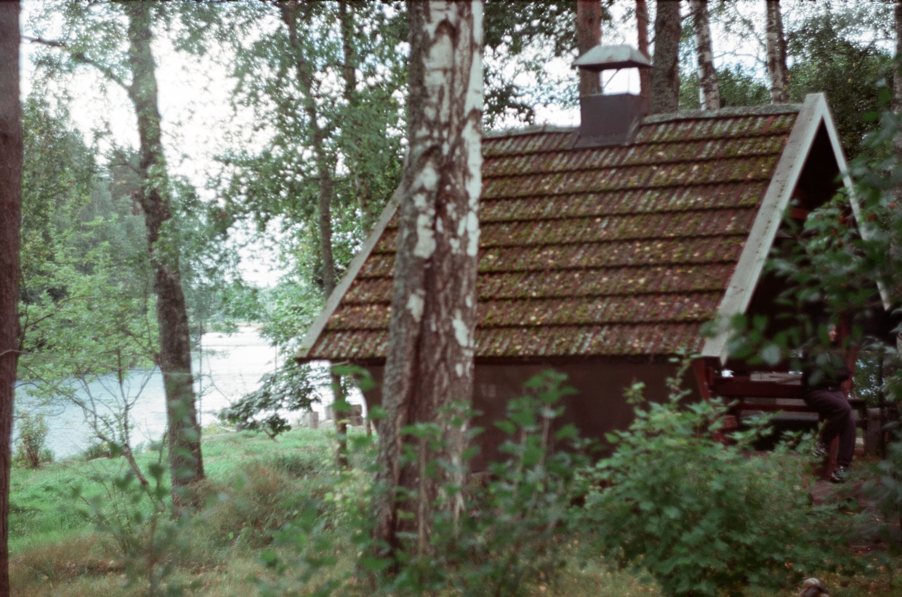 Brown Wooden House Near Plants and Trees · Free Stock Photo