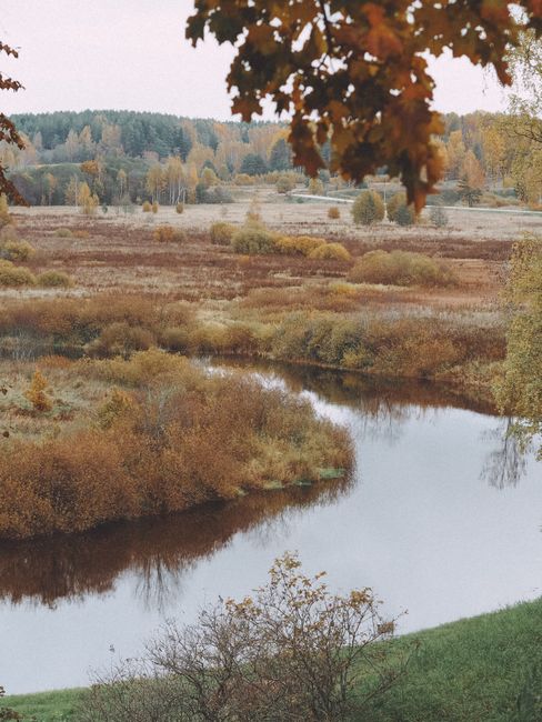 Serene autumn view of a river surrounded by colorful foliage and trees.