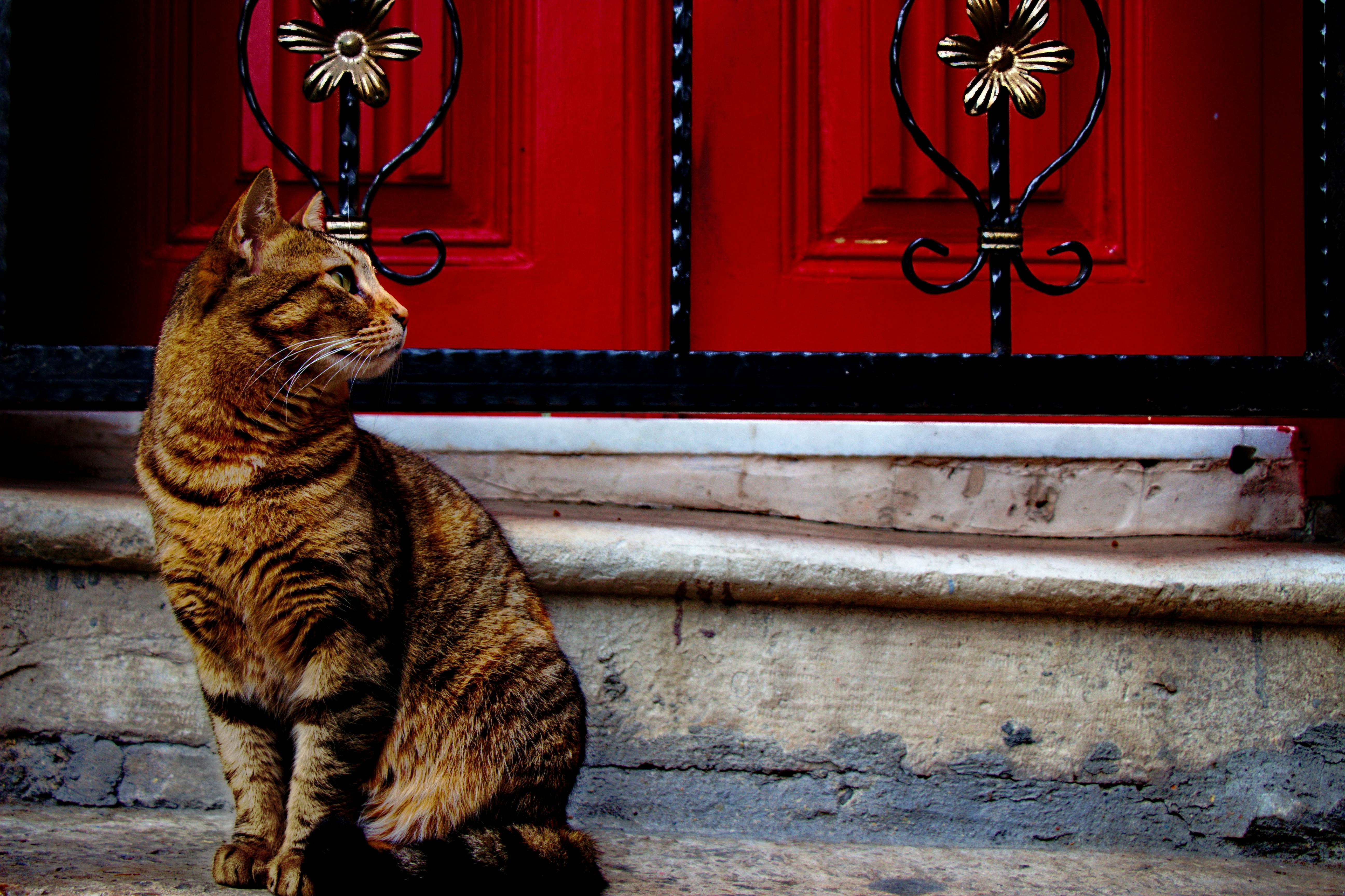 pexels-photo-857460.jpeg?auto=compress&cs=tinysrgb&h=750&w=1260