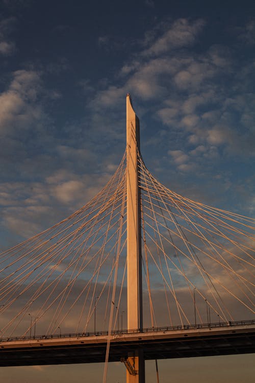 光, 吊橋, 垂直拍攝 的 免費圖庫相片