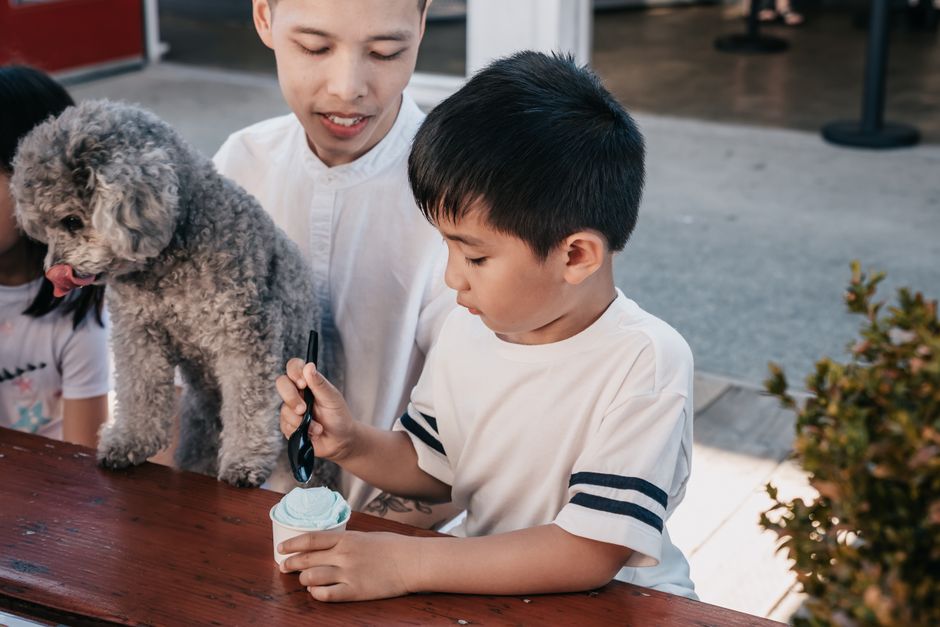 A father and son bonding over ice cream with their pet dog at an outdoor setting.