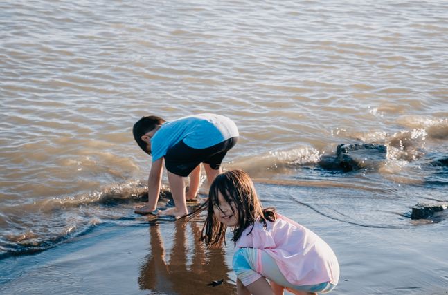 Online Casino: Spielautomaten und Live-Spiele im Überblick