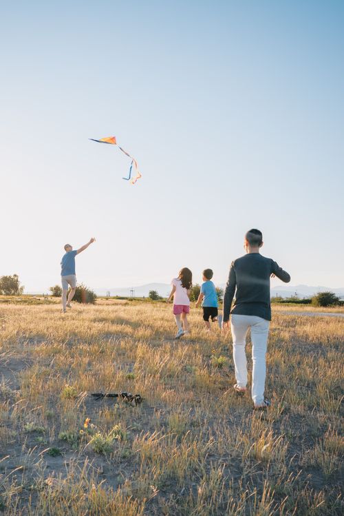 Free Two parents with children flying a kite in a sunny field, enjoying leisure time together. Stock Photo