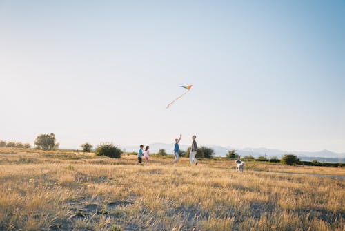 Free Happy Family Having Fun Playing with Kite on the Grass Field Stock Photo