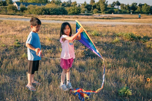 Los Niños Se Divierten Jugando Con La Cometa En El Campo De Hierba