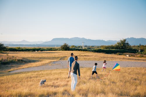Free Happy Family Having Fun Playing with Kite in the Grass Field Stock Photo