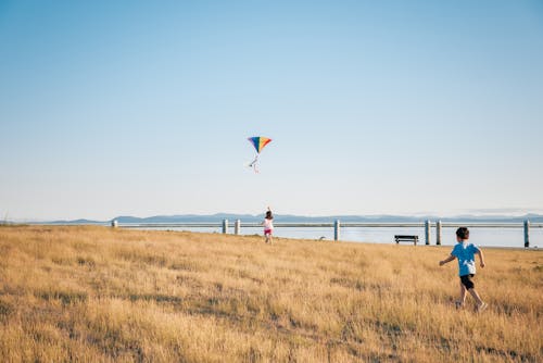 Kids Having Fun Playing with Kite in the Grass Field