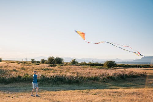 A Man Playing Kite in the Grass Field