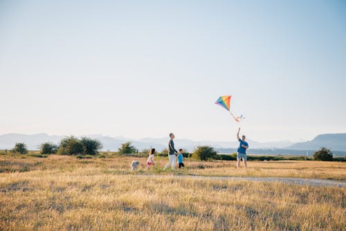 Fotos de stock gratuitas de al aire libre, campo de hierba, cometa