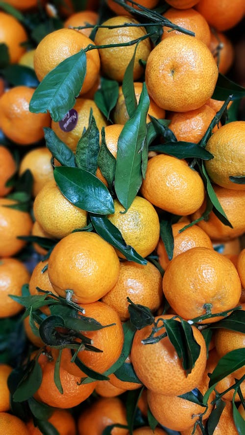Kostnadsfria Kostnadsfri bild av apelsiner, C-vitamin, färska frukter Stock foto